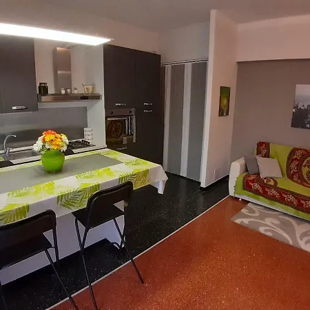 Apartament The New House
